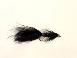 JUNGLE BUG BLACK #4/0 1PKL