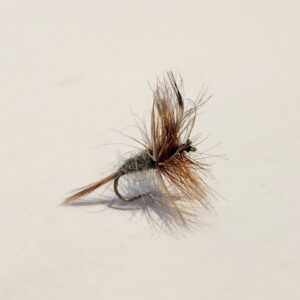 Adams Standard #14