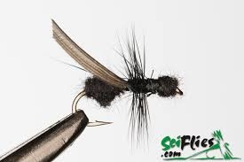 Flying Ant Black #14