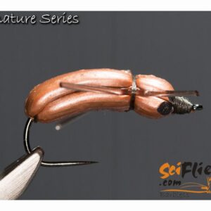 SF ORIGINAL BEETLE COPPER #12 3PKT