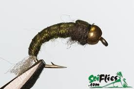 Gold Bead Caddis Olive #12