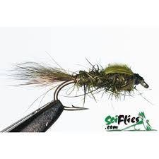 GRHE Olive #14