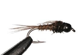 Crystal Thorax Natural/Olive #14