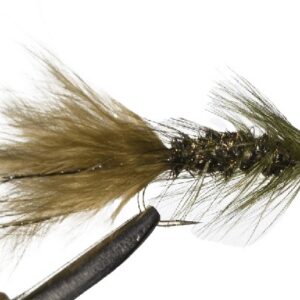 Woolly Bugger Olive/Peacock #8